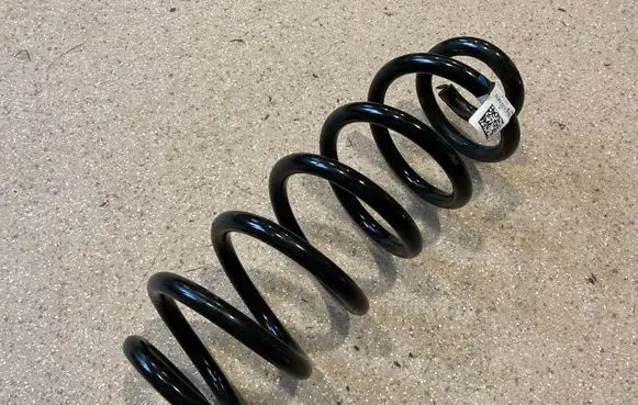 Rear coil spring