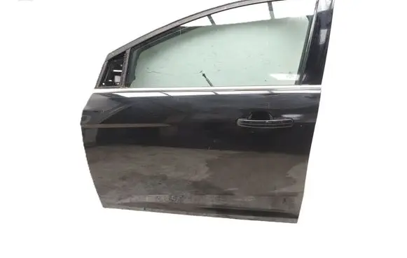 Ford Focus Front door 
