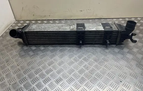 Renault Latitude (L70) Intercooler radiator