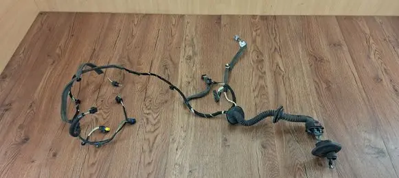 Renault Laguna III Front door wiring loom 241253760R
