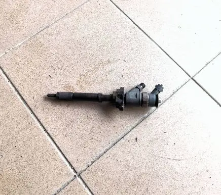 Citroen C4 I Fuel injector 0445110297 920029