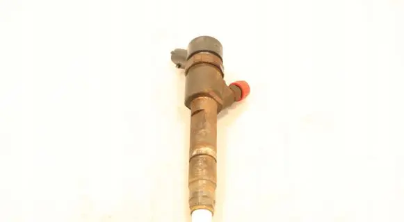 Renault Megane II Fuel injector 0445110230