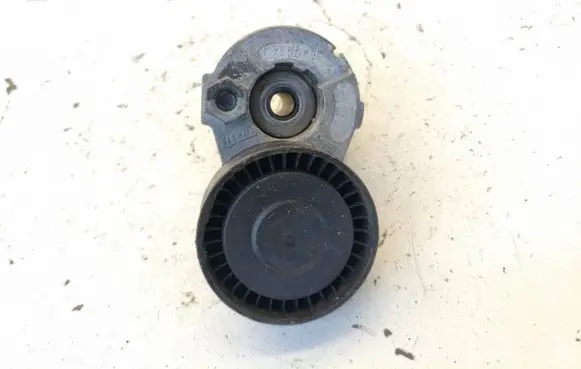 Renault Megane III Generator/alternator belt tensioner 1002602