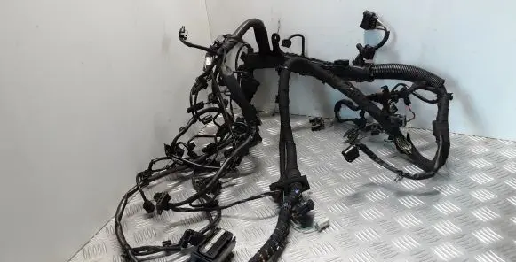 Engine installation wiring loom
