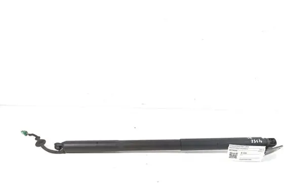 Tailgate strut