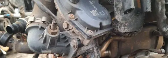 Nissan Juke I F15 Throttle valve h8201143495