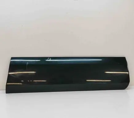 Toyota Land Cruiser (J120) Front door trim (molding) 7573160160