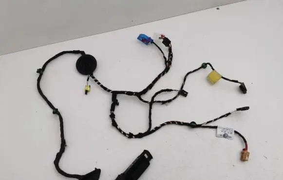 Volkswagen T-Roc Front door wiring loom 2GB971120AH