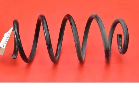 Rear coil spring