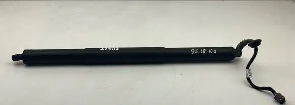Tailgate/trunk strut/damper