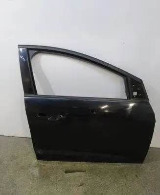 Ford Focus Front door 