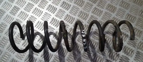 Ford Focus Rear coil spring
