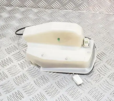 Tesla Model 3 Rear door lock 106897000K