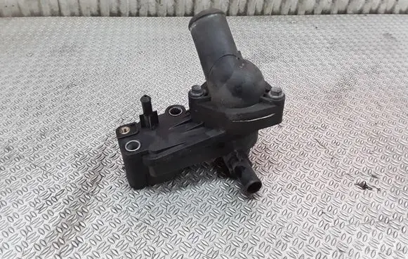 Thermostat/thermostat housing