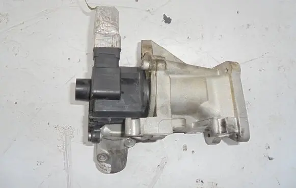 Seat Leon (1M) EGR valve