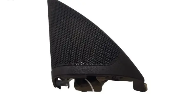 Front door high frequency speaker