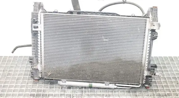 Mercedes-Benz B W245 Radiator set A1695003204