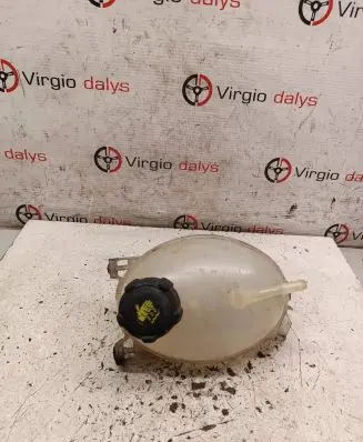 Dacia Sandero II Coolant expansion tank/reservoir 217107259R