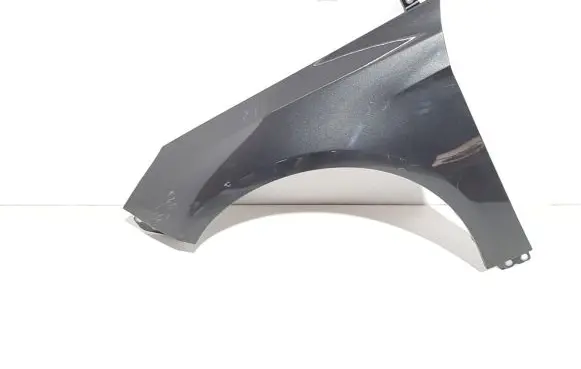 Ford Focus Fender