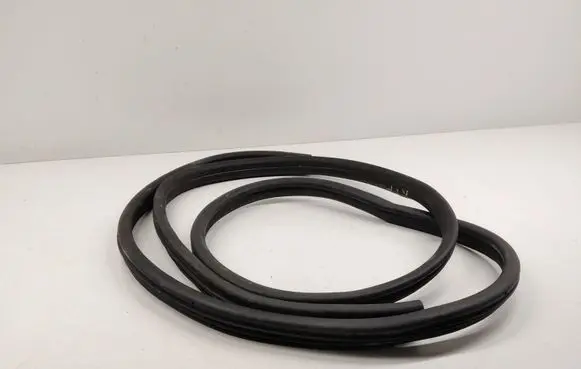 Renault Kangoo II Front door rubber seal 