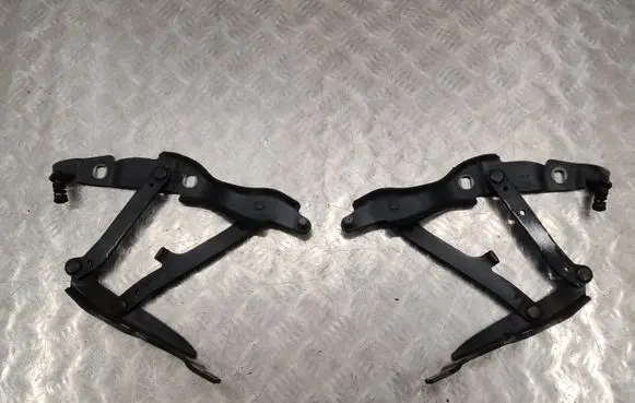 BMW Z4 E89 Engine bonnet/hood hinges 7191512