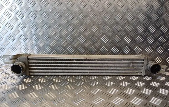 Opel Meriva A Intercooler radiator 52401015