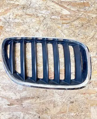 BMW X5 E53 Front grill 7113738 7113734 51137113738