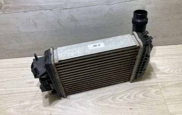 Nissan Juke II F16 Intercooler radiator 144961019R 14461F270A
