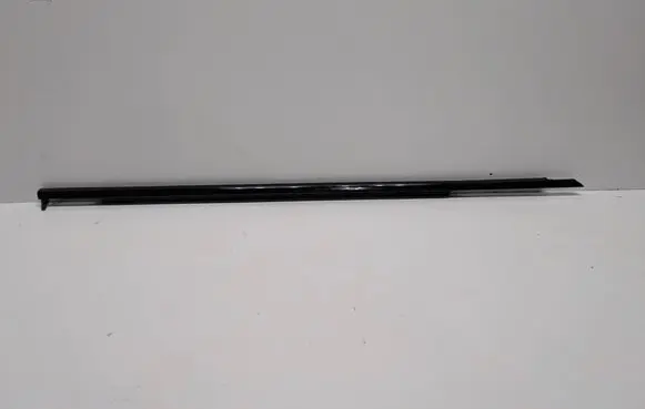 BMW 5 G30 G31 Front door trim (molding) 7404026 7404026-10