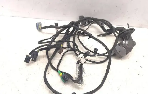 Citroen C6 Front door wiring loom 9662313380