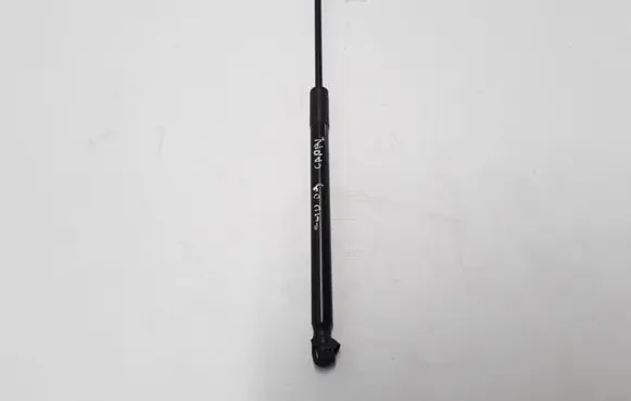 Tailgate strut