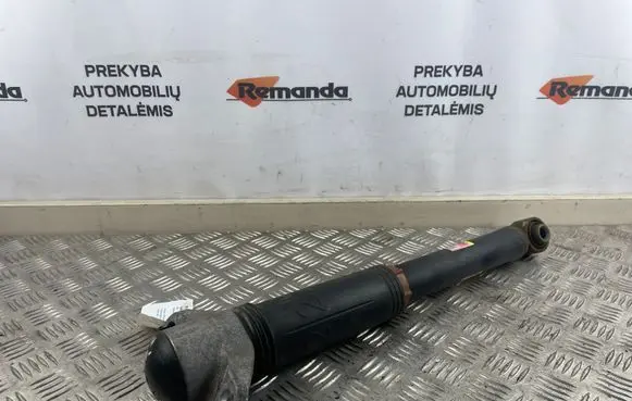 Toyota RAV 4 (XA50) Rear shock absorber/damper 4853042130