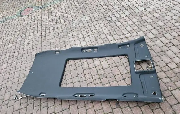 Opel Insignia B Headlining 