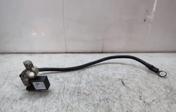 Mercedes-Benz E A207 Negative earth cable (battery) A1665420418