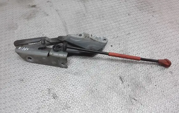 Volkswagen Golf Plus Engine bonnet/hood hinges 5M0823301