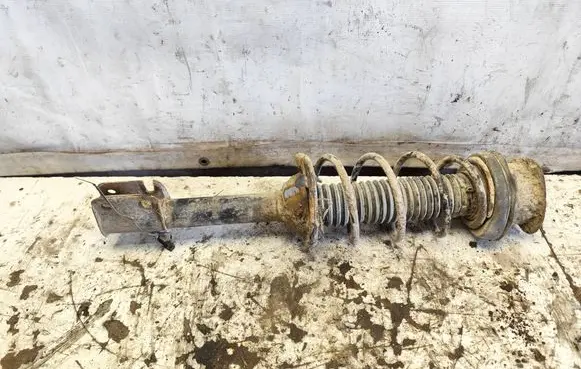 Subaru Forester SG Rear shock absorber with coil spring 00462002