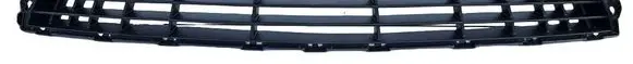 Front bumper lower grill