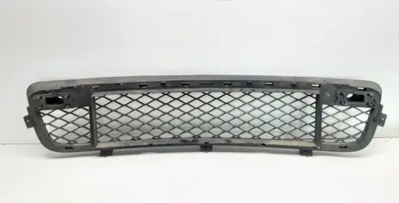 BMW X5 E70 Front bumper lower grill