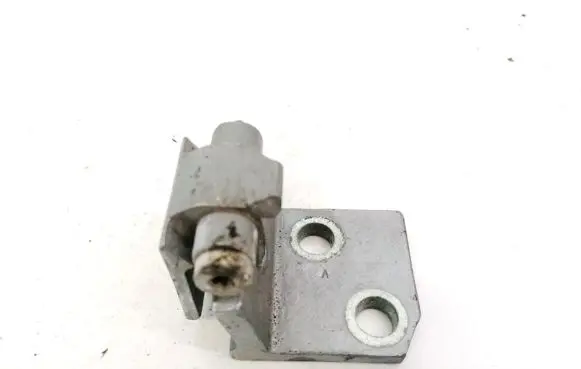 Peugeot 607 Rear door lower hinge