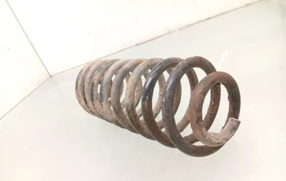 Seat Leon (1M) Rear coil spring 