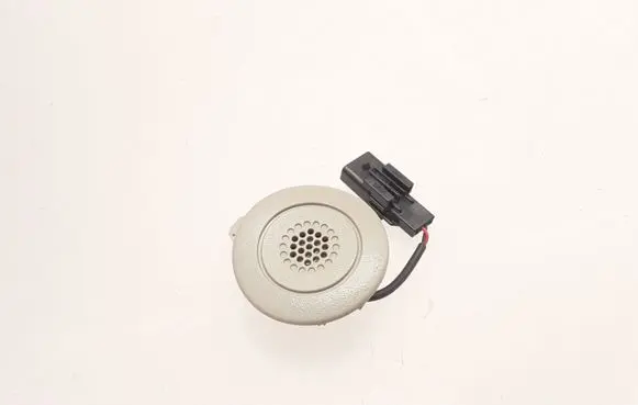 Panel speaker