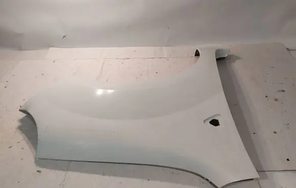 Renault Kangoo II Fender 631002009R