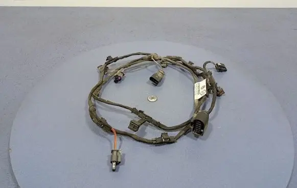 Volkswagen PASSAT B7 USA Other wiring loom 2GM971104