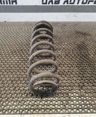 Volkswagen Tiguan Rear coil spring