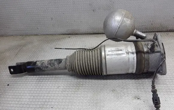 Volkswagen Phaeton Rear shock absorber/damper 3D0616001K