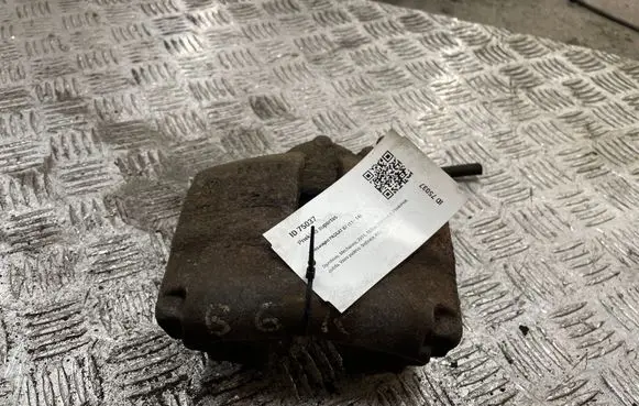 Volkswagen PASSAT B7 Front brake caliper