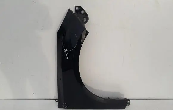 Ford Focus Fender