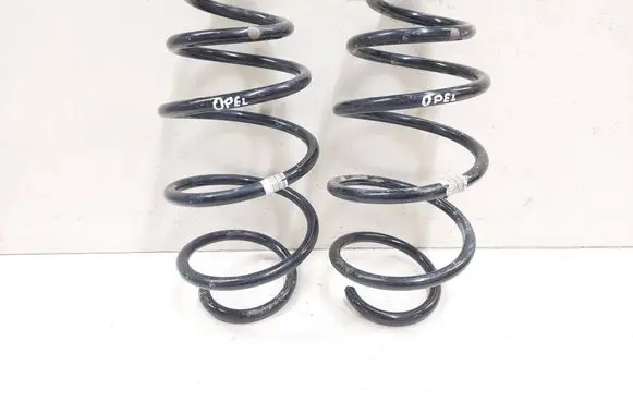 Opel Insignia A Front coil spring 