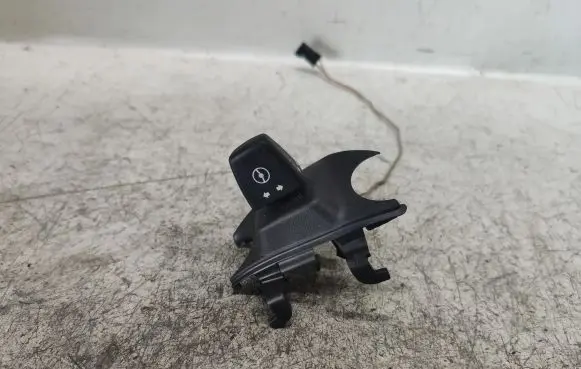 BMW X5 E70 Steering wheel adjustment switch 61316966710