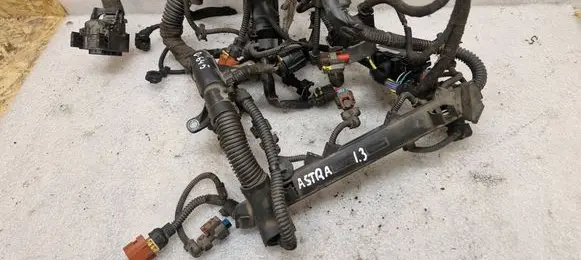 Engine installation wiring loom